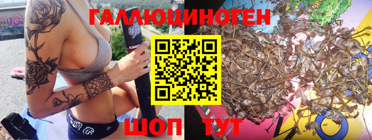 Галлюциногенные грибы Psilocybe  Вход с VPN  где найти наркотики  Миллерово  Галлюциногенные грибы MAGIC MUSHROOMS 