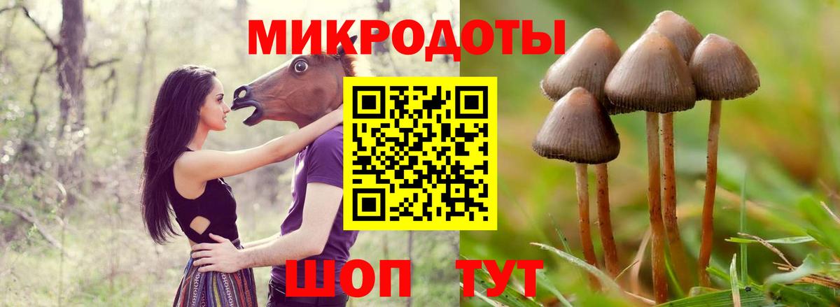Галлюциногенные грибы Cubensis Миллерово